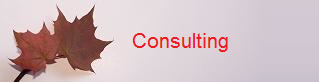 Services we perform